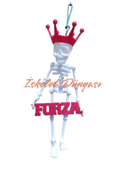 İskelet Dikiz Ayna Süsü Forza 